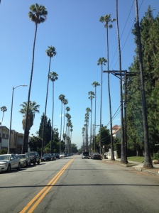 Palm trees lining the streets in Beverly Hills