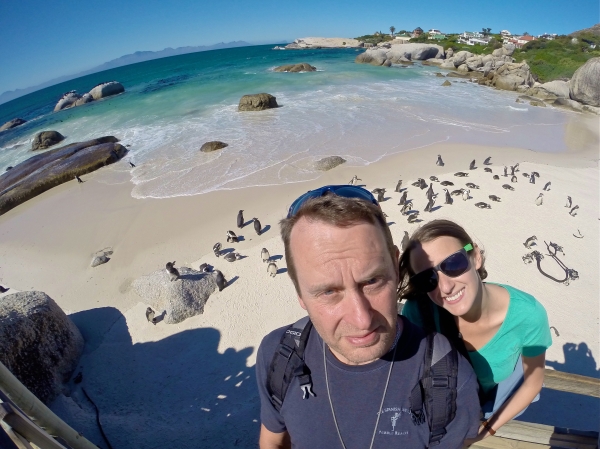 Exploring Cape Peninsula to see penguins at the beach in South Africa