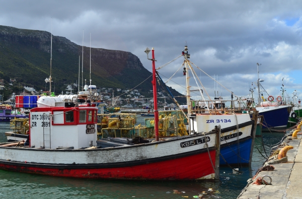 Boats at Kalk Bay, Cape Town, South Africa